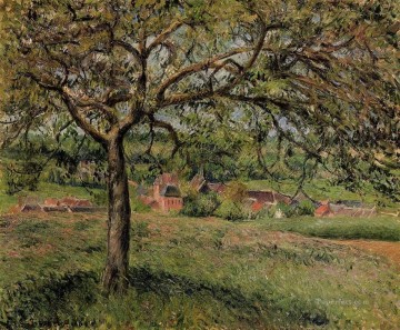  eragny Oil Painting - apple tree at eragny 1884 Camille Pissarro